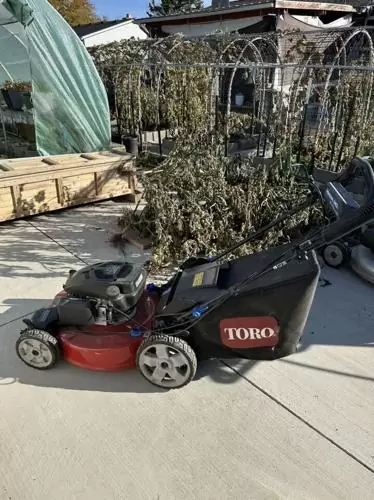 $300 Toro Lawn Mower
                                                in
                                West Valley City,
                                Utah