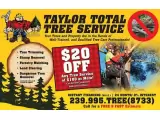 TREE REMOVAL, STUMP GRINDING, FORESTRY MULCHING, DIRT WORK